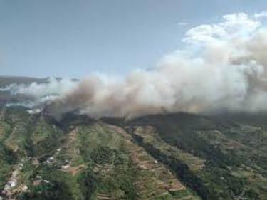 El año 2007 fue especialmente trágico para las Islas Canarias, que sufrieron dos grandes incendios forestales de forma casi simultánea en las islas de Tenerife y Gran Canaria. El incendio de Los Realejos arrasó más de 15.000 hectáreas de masa forestal y el de Tejada cerca de 19.000 hectáreas, convirtiéndose en el mayor incendio forestal registrado en la historia de Gran Canaria.