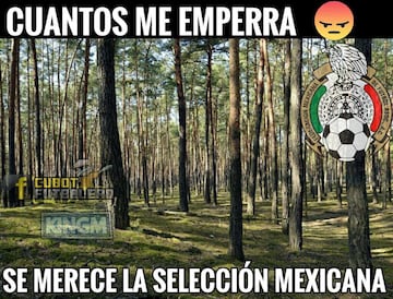 A reír un rato con los 40 memes del México vs Alemania