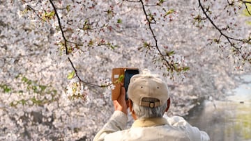 The difference comes down to whether a person ever learned to tolerate discomfort, distress, and negative emotional or physical states.