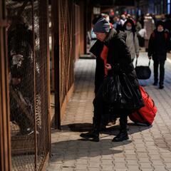 "Mamá, estoy asustado. Estamos bombardeando todas las ciudades, incluso a civiles"