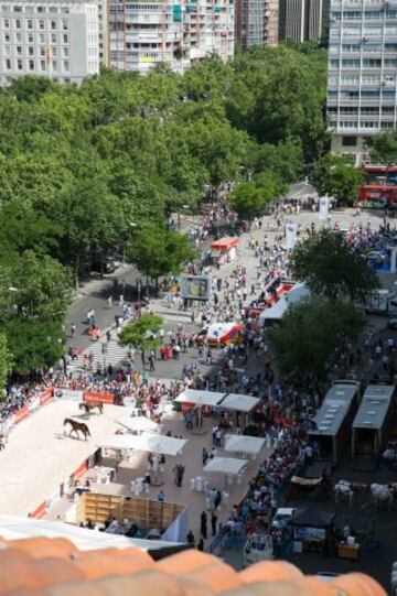 Las carreras de caballos regresan a la Castellana