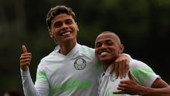 Ríos espera conseguir el Brasileirao con Palmeiras.