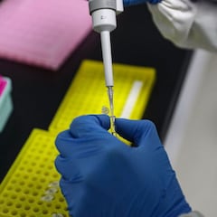 El Reino Unido admite que la nueva cepa está "fuera de control": siete países de la UE cierran sus puertas