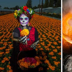 ¿Por qué en México se celebra más Día de Muertos que Halloween?