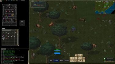 Ultima Online, el MMORPG donde tener una segunda vida