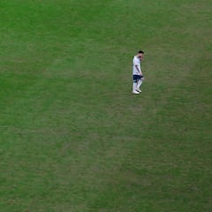 A vueltas con el césped