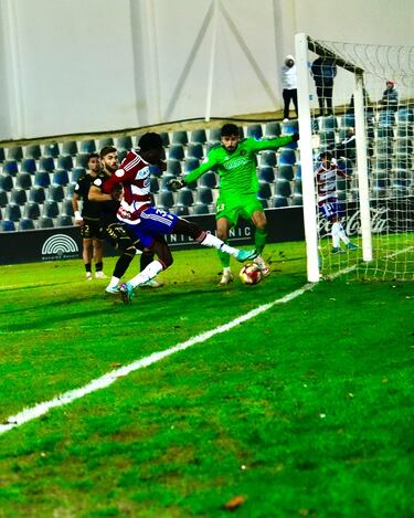 El malaguismo convertirá Los Cármenes en ‘la pequeña Rosaleda’