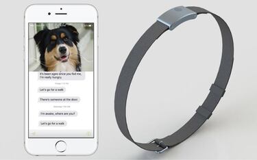 WhatsYapp, el collar para descifrar los ladridos de tu perro