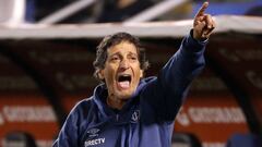 Salas: "Los planteles están para responder y Católica lo hizo"