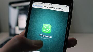 WhatsApp te dejará compartir varios contactos a la vez