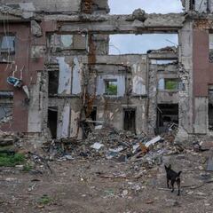 Zelenskyy’s warning to the people of Ukraine