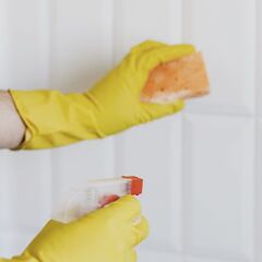 Seleccionamos los desinfectantes para el hogar más vendidos en Amazon México