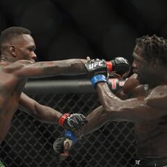 Who were the winners and losers at UFC 276?