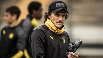 Diego Forl&aacute;n