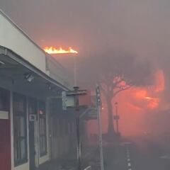 Videos of wildfires in Maui show heartbreaking destruction and tragedy