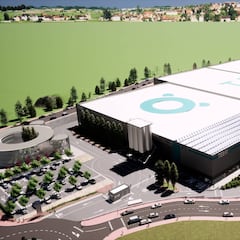 La fábrica de insectos más grande estará en España: dónde y para qué servirá