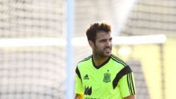 Fábregas: "Contra Chile tendremos que saber sufrir"