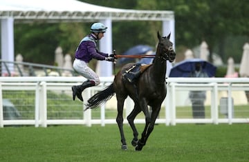 El jockey irlandés afincado en Reino Unido, Oisin Murphy, salta de forma acrobática de su caballo Sin alcohol, antes de caerse, tras su victoria en el premio Coronación en Ascot. El hipódromo británico, sede de trece de las treinta y seis carreras anuales del Grupo 1 del Reino Unido, vive su cuarto día de competición. 