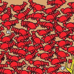 Reto visual: Encuentra a los cuatro cangrejos entre las langostas