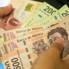 Así podrás calcular el reparto de utilidades 2025 y esto podrás hacer si tu jefe no te las paga