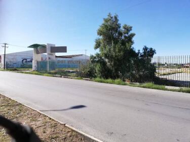 Antiguo Estadio Corona: Entre el abandono y el peligro