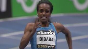 Genzebe Dibaba, rumbo al r&eacute;cord. 