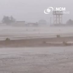 La peculiar y costosa forma de Emiratos Árabes para luchar contra la ola de calor