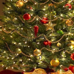 Por qué se arma el arbolito de Navidad el 8 de diciembre