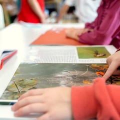 Subsidio para los alumnos con necesidades especiales: ¿cuánto dinero recibirán y quiénes podrán percibirlo?