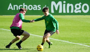 Arana tiene la fórmula para hundir la flota