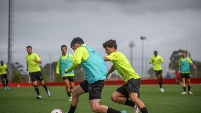 Convocatoria con César Gelabert como novedad y con tres bajas