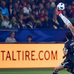 Ibrahimovic deja sin palabras a Estados Unidos con esta imagen