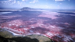There is a lake in Tanzania that looks like it’s from another planet: it kills everything it touches, except these animals