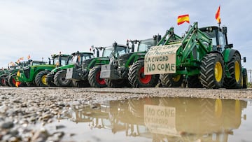 Varios tractores parados tras una manifestación en Guadalajara durante la novena jornada de protestas de los tractores en las carreteras españolas, a 14 de febrero de 2024, en Guadalajara, Castilla-La Mancha (España). Agricultores y ganaderos de toda España han sacado sus tractores a las carreteras por sexto día consecutivo, para pedir mejoras en el sector, entre ellas exigir ayudas para afrontar las sequías que sufre el campo. Además, protestan contra las políticas europeas y su falta de rentabilidad.
14 FEBRERO 2024;AGRICULTORES;TRACTORES;MEJORAS;ALIMENTOS;CAMPO
Rafael Martín / Europa Press
14/02/2024