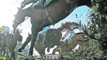 <b>POR EL TRIUNFO. </b>'Mon Mome', pasando un obstáculo.