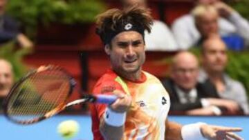 David Ferrer, en Viena. 