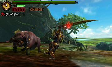 Captura de pantalla - Monster Hunter 4 (3DS)