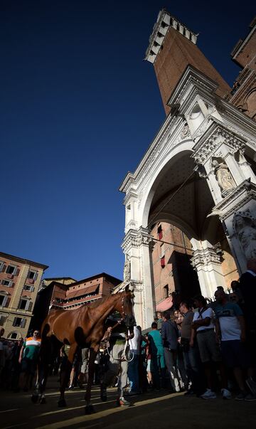 El Palio de Siena (Palio di Siena) es una carrera de caballos de origen medieval que enfrenta a los distritos de la ciudad italiana dos veces al año. La primera del año se celebra el 2 de julio (Palio di Provenzano) y la segunda el 16 de agosto (Palio del