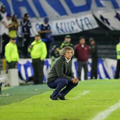 Gamero y la solución para la grama de El Campín: “No más conciertos”