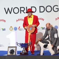 ¿Por qué este es considerado el mejor perro del mundo?