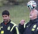 Del Bosque: "No me olvidaría de Diego Costa para el futuro"