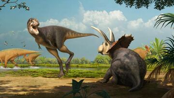 Some bones forgotten in a drawer for more than 20 years turned out to be from a species of dinosaur never seen before.