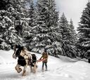 Ski joring sobre la nieve de los Alpes franceses