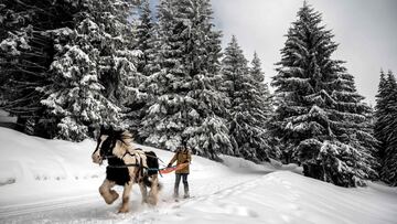 Ski joring sobre la nieve de los Alpes franceses