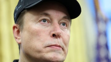 What did Grok say about Elon Musk?