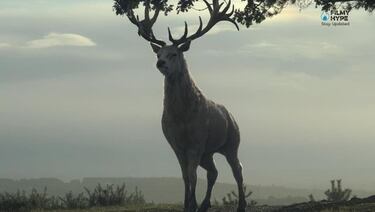 La Casa del Dragón: ¿qué significa el ciervo blanco que Rhaenyra vio en el bosque?