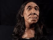 Reconstruyen cómo era la cara de una mujer neandertal de hace 75.000 años