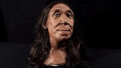 Reconstruyen cómo era la cara de una mujer neandertal de hace 75.000 años
