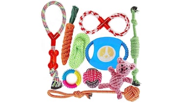 5 accesorios para perros que son imprescindibles en el día a día de tu mascota