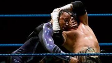 Luchadores en pleno combate